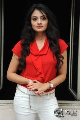 Nikitha Narayan at Ladies and Gentlemen Movie First Look Launch